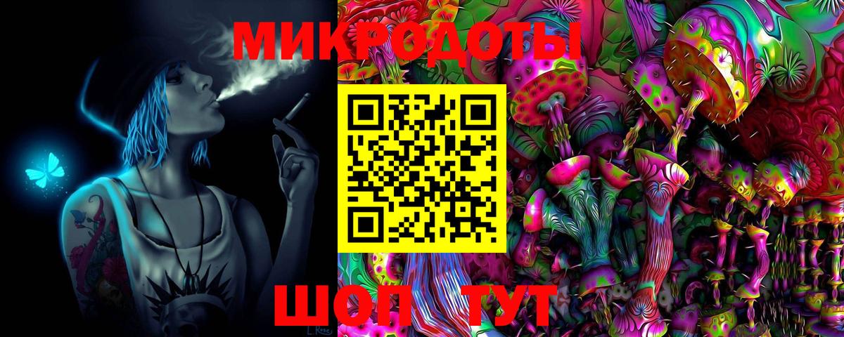 Псилоцибиновые грибы мицелий Камышин